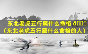 东北老虎五行属什么命格 🐛 （东北老虎五行属什么命格的人）